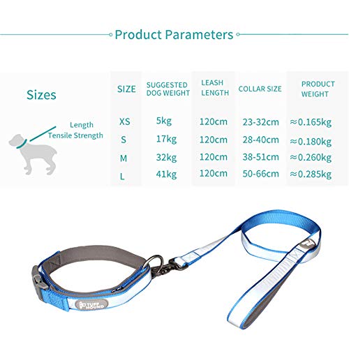 Collier de chien réfléchissant S anti-traction à boucle rapide