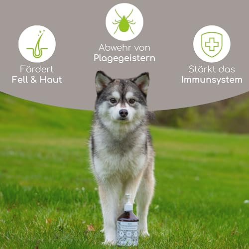 Schwarzkümmelöl für Hunde von Wolfsbacher, Bio 500ml, kaltgepresst