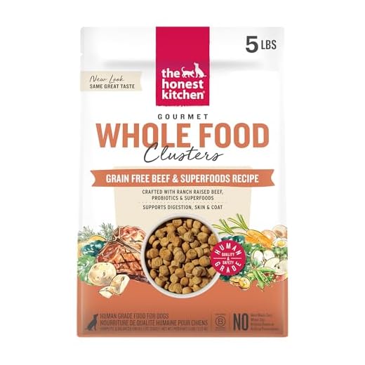 The Honest Kitchen Human Grade Whole Food Clusters Dry Dog Food - Grain Free Beef 5 lb Bag