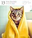 Cat Page-A-Day® Gallery Calendar 2026: A Delightful Gallery of Cats for Your Desktop
