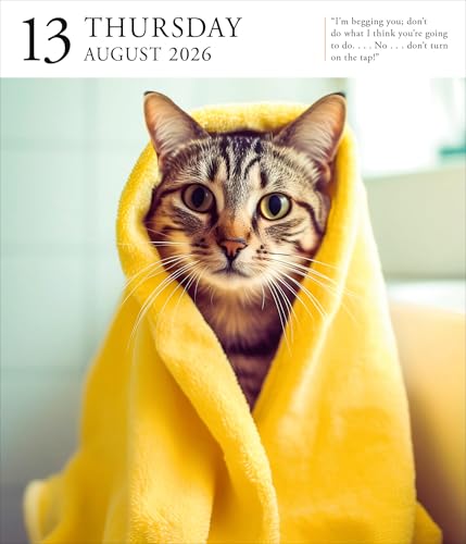 Calendrier Chat 2026 Page-A-Day Gallery pour bureau format éphéméride