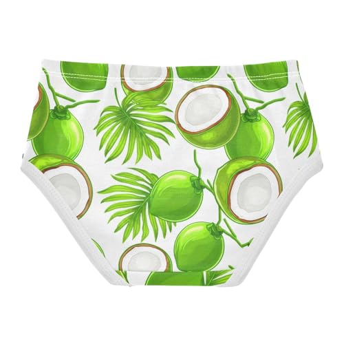 Girls' Underwear Fruit Coconut Toddle Brief Panties 23020042