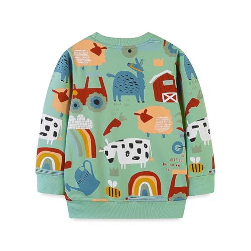 Boys Sweatshirts Casual Sweatshirts Cotton Sweatshirts Long Sleeve T-shirts Crew Neck Cartoon Tops for Boys-4072