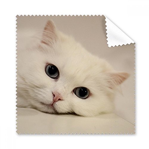 Cadeau chiffon de nettoyage chat blanc pour lunettes et écrans tactiles 5pcs