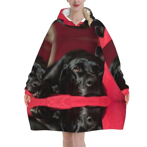Pull-over en flanelle Labrador pour cocooning d'hiver réussi