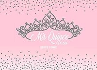 Mis Quince Años Libro de Firmas: Libro de Quinceanera con 130 Páginas y Registro de Regalos, Rosa y Plateado (Spanish Edition) 1090793561 Book Cover