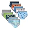 Hanes Paquete de calzoncillos para niños pequeños, ropa interior de algodón con estampado de dinosaurio, paquete de 10