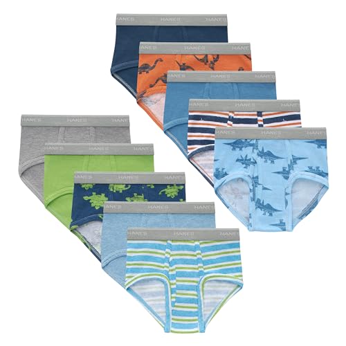 Hanes Toddler Toddler Brief Underwear, Dinosaur Prints, Stripes & Solids, Comfort Waistband & Smooth Seams, 10-Pack