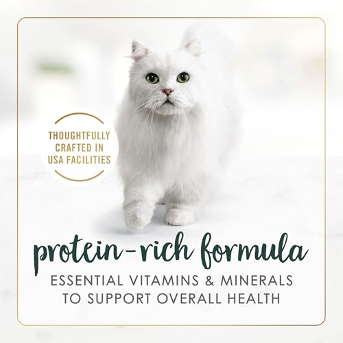 Image of Purina Fancy Feast Senior Wet Cat Food 7 Years Plus Chicken Feast in Gravy Minced - (Pack of 24) 3 oz. Cans
