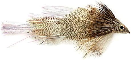 StreamerQ borracho y desordenado