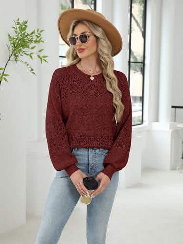 Image of Lylinan Womens Sweaters Casual Boho Long Sleeve Shirts Crewneck Lightweight Crochet Tops Pullover Knit Sweater