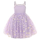 HSTiSan 幼児 ガールズ ドレス コットン プリンセス チュール ドレス デイジー ヘム チュチュ キッズ カジュアル サンドレス 18M-8歳, パープル, 4-5T