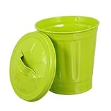 Outanaya 1 Pc Basura Macetas De Interior Cubo Macetero De Metal Pequeños Cubos De Almacenamiento Macetas Para Plantas De Exterior Papelera Metálica Oficina Titular De La Pluma Planchar
