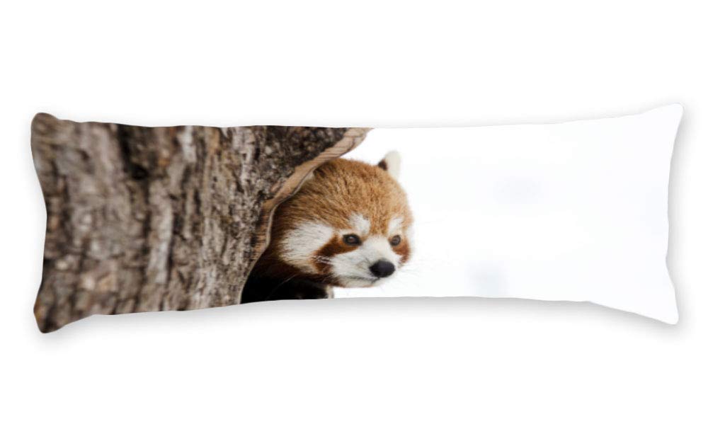 AILOVYO Pillow Cover Red-Panda Cute Animal Long Body Pillow Case Home Decor 20 x 54 Inch