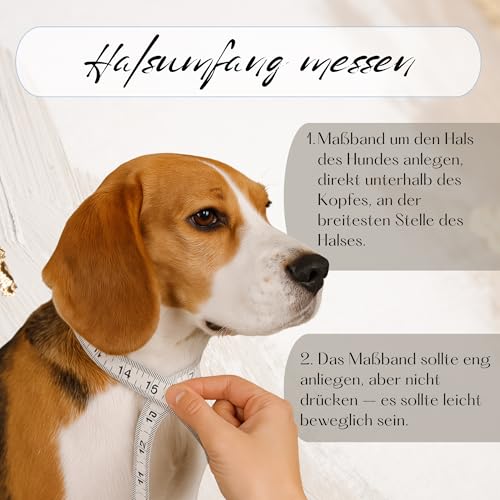 EM-Keramik Hundehalsband – 33 Farben, Zahn, Handmade in Germany, personalisierbar mit Namen & Pfötchen, Paracord Typ 2, leichte Verschlussarten, für kleine Hunde