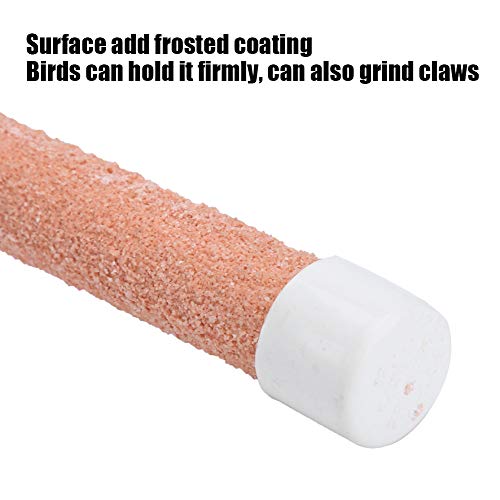 Image of Pssopp Bird Parrot Stand, Suction Cup Bird Shower Perches for Budgies, Cockatiel, Plastic + Frosted Coating