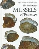 Freshwater Mussels Tennessee