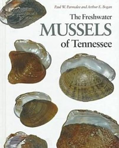 Freshwater Mussels Tennessee