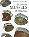 Freshwater Mussels Tennessee