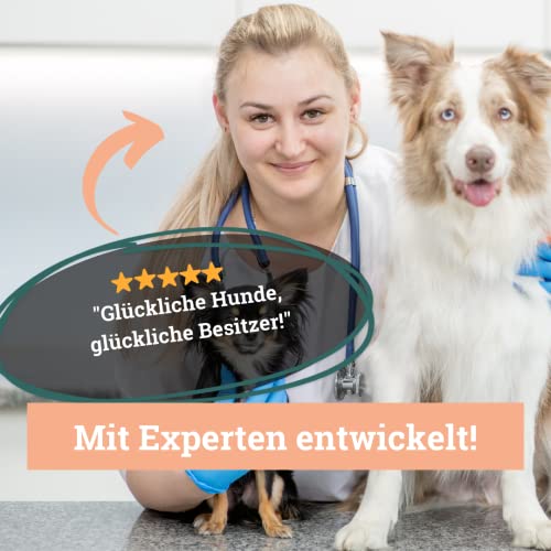 BeG Buddy Insektenfutter für Hunde, getreidefrei, Insekten Hundefutter, für Allergiker Hund - Trockenfutter Insekten Hund - [4 kg]