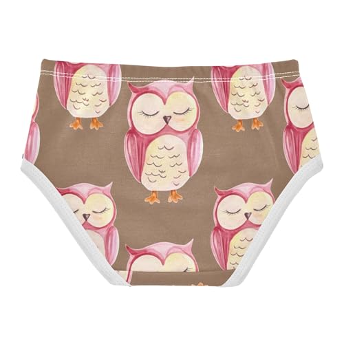 Girls Underwear Toddlers 2t Cotton Cute Panties Girl Durable Briefs Underpants Cute Watercolor Owls Eyes Brown2