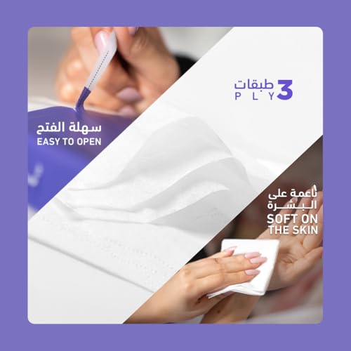 Govyy 3-Ply Facial Tissues - Pack of 10 with 300 Soft White single Sheets 100 pulls - Unscented, Ultra Soft, Perfect for Daily Use and Personal Hygiene
