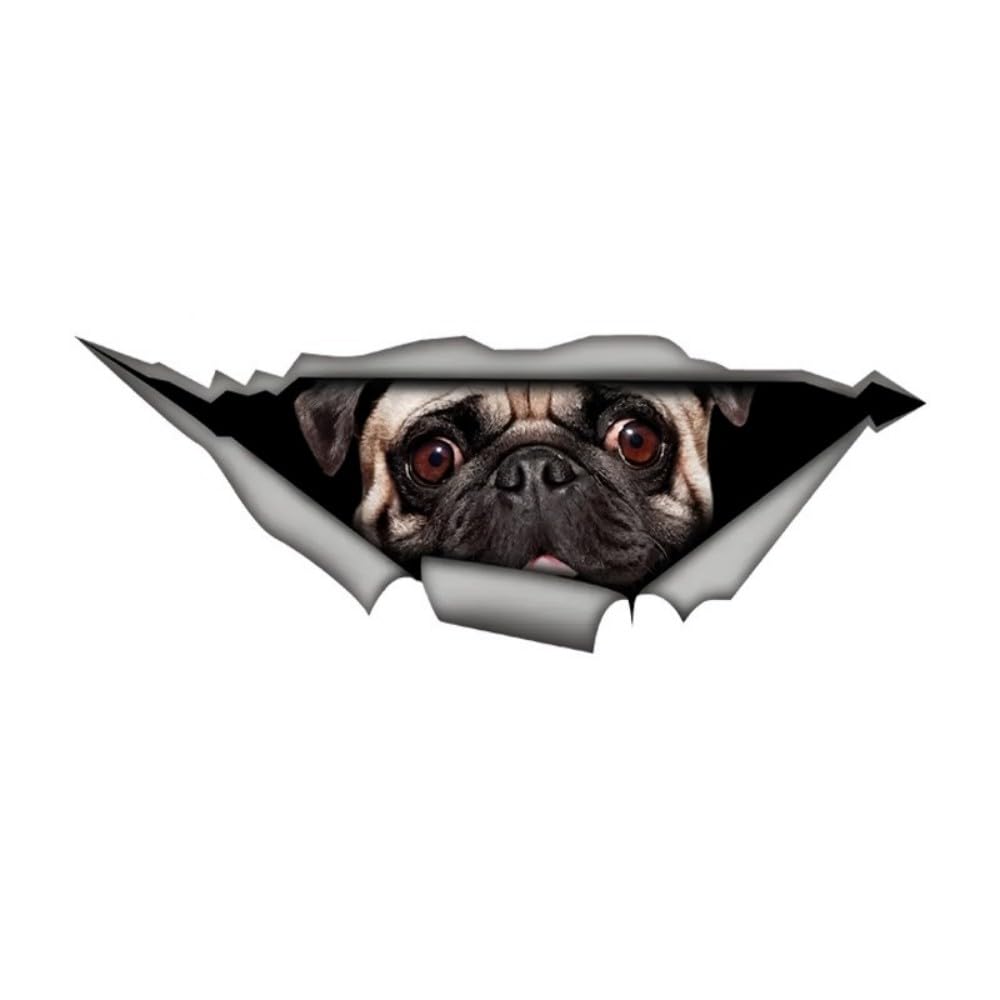 Mops Aufkleber, Wasserdicht, Reflektierend, 3D Zerrissener Effekt, Dekorative Aufkleber für Auto, Laptop, Kühlschrank, Stoßstange, Fenster (22cm/8.7 Inch)