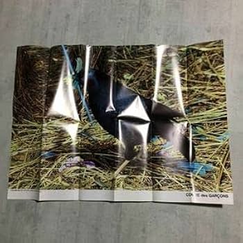 井上嗣也　作品集　コムデギャルソン 井上嗣也作品集 / Tsuguya Inoue Graphics - 井上 嗣也