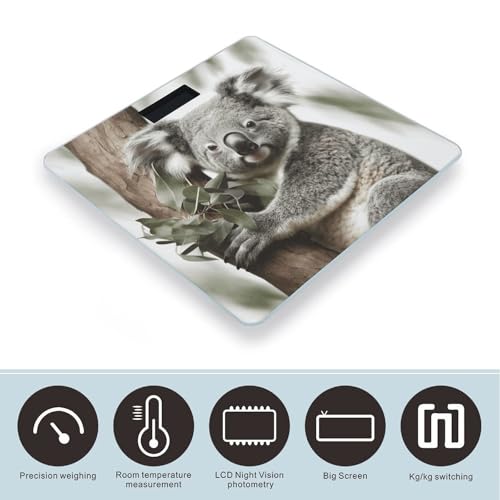 Báscula Digital Koala para Peso Corporal con Pantalla LCD miniatura 3