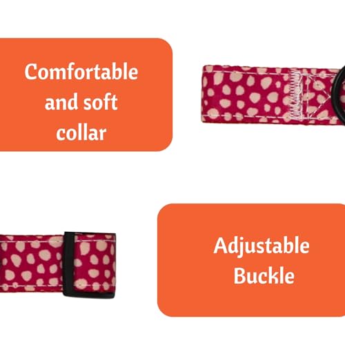 Image of Emily Pets Dog Collar with Safety Locking Buckle, Adjustable Soft Breathable Comfortable Nylon Pet Collar for Small, Medium Dog and Puppy (Color May Vary)