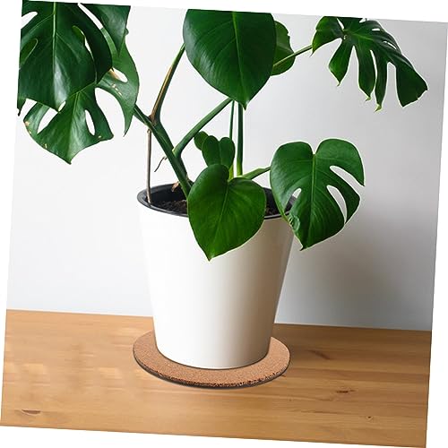 Coussinets de pots de fleurs en liège pour une déco verte de salon