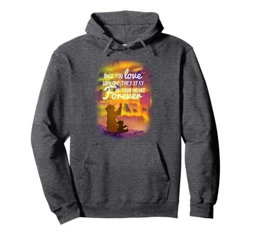 Sweat capuche Disney Frère des Ours vêtement motif aurore boréale