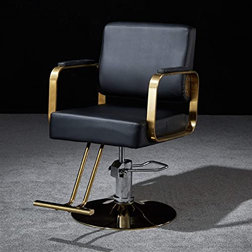 GAAHRQQQ Salon Recliner Personal Care Salon Hair Styling Chair with Hydraulic Pump Beauty Personal Care Hydraulic Reclining Chair Tattoo Chair for Salon Beauty Equipment