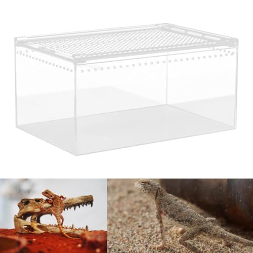 Terrarium pour reptiles 30cm, solution anti-évasion pour élevage - 6