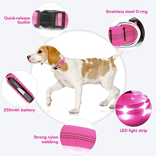 Weesiber Light Up Dog Collars - USB Rechargeable LED Dog Collar - Flashing LED Collar for Dogs - Glowing Dogs Lights for Night Walking (Pink, Medium Collar) — view 3