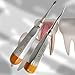 Artlab- Set of 2 Pieces - Dental Elevator Concave Root Tip #60 Straight + Dental Elevator #77R Tooth Extraction Elevator Hand Piece Dental Instruments Gold Tip Color German Stainless Steel