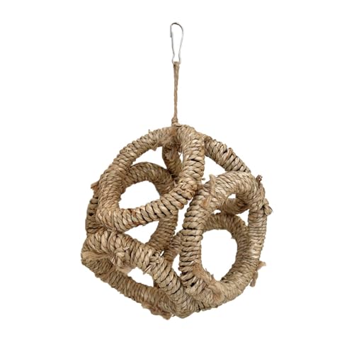 QIEIEI Bird Perch Nature Branch Rings for Parrots Conure Supplies Budgies Swing Scratchers for Small Parrots Rack Toy