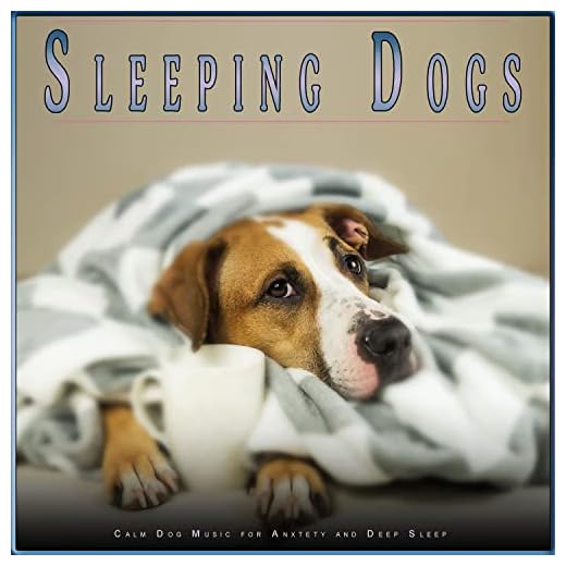 Music to Help Dog Anxiety