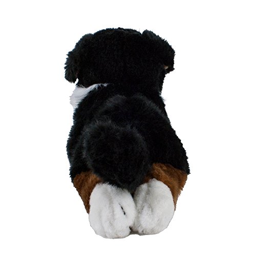 Teddys Rothenburg Kuscheltier Berner Sennen 30 cm liegend braun/schwarz/weiß Plüschhund Plüschbernersennen – Bild 4