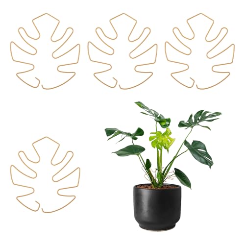 4 PCS Monstera Plant Support, Plant Support Stakes for Indoor Plants Plant Stem Support Metal Monstera Plant Stabilizer Holder Plant Clips for Climbing Plants Support for Thriving Growth