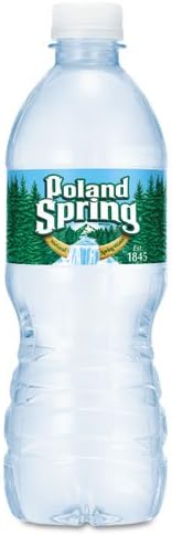 Nestle Bottled Water 16.9oz Per Bottle, 24 Bottle Case (Brand Varies By Region)