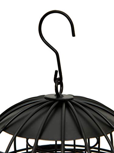 Supa Meisenknödel-Futterspender für Wildvögel, schützt Eichhörnchen und größere Vögel wie Tauben und Tauben