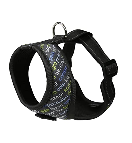 Ratia fUCX^WI eBA kfUC x[VbNCgn[lX OtBREu[ LTCY