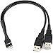 CRJ 9-Pin USB IDC Dupont Male Header to Dual USB 2.0 Type A Male Cable