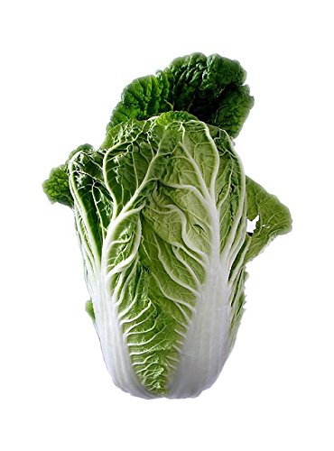 Chinese Cabbage Seeds (Pack of 40 Seeds) (B07F8YT9SR) Amazon Price History, Amazon Price Tracker