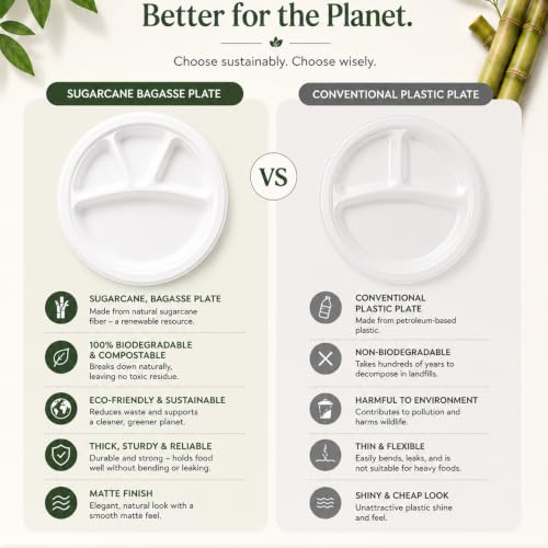 Image of Bio Degradable Compartment Plate 11'' inch, Pack of 10