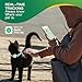 ZITTZ Cat Tracker,No Monthly Fee GPS Trackers for Cats,Pet Tracker Work with Apple Find My App(iOS Only),Real-Time Location Tracking,Cat Tracker GPS Collar with Safety Elastic Buckle-LightGreen