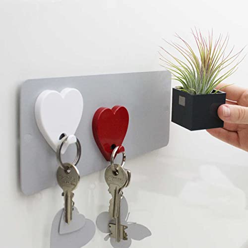 KalaMitica - Magnetic Wall Board - Holder for Fridge Magnets - Silver - 9 x 24 cm, Silver New, W9 x H24 cm - Image 3