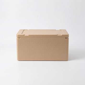 Insulated Box, Cold Container for Food Delivery & Thermal Logistics Foam Insulated Box, Size 3 Tall