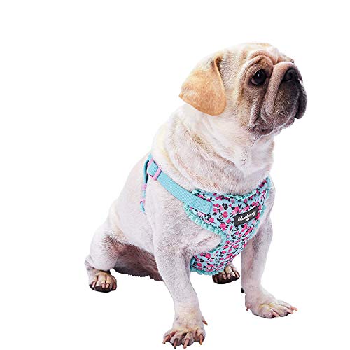 Blueberry Pet Collection Made Well Harnais Gilet pour Chien Imprimé à Jolies Fleurs en Bleu Clair, Tour de Poitrine 45cm à 53,5cm, Tour de Cou 42cm à 50,5cm, Petit modèle, Taille S